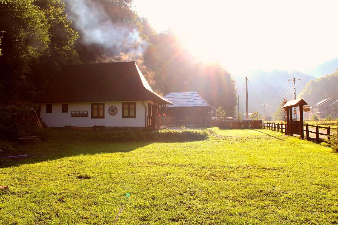 Casuta Din Valea Regilor Villa Gradistea de Munte Exteriör bild