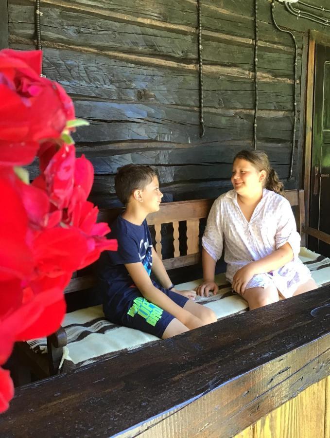 Casuta Din Valea Regilor Villa Gradistea de Munte Exteriör bild
