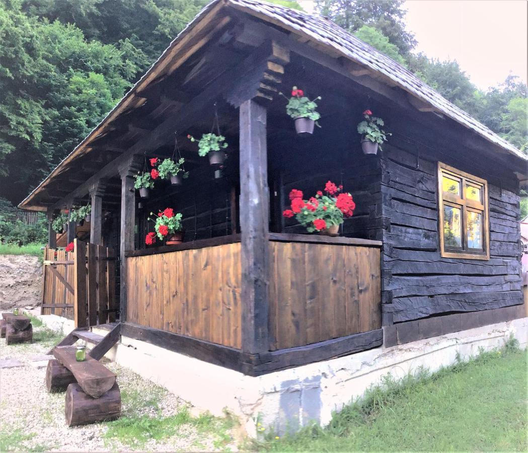 Casuta Din Valea Regilor Villa Gradistea de Munte Exteriör bild