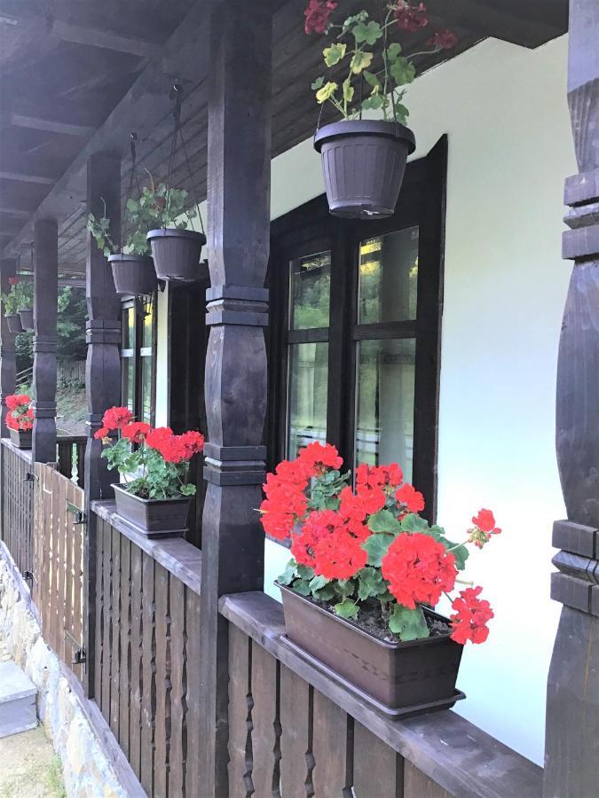 Casuta Din Valea Regilor Villa Gradistea de Munte Exteriör bild