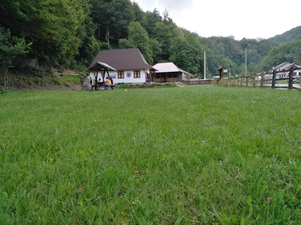 Casuta Din Valea Regilor Villa Gradistea de Munte Exteriör bild