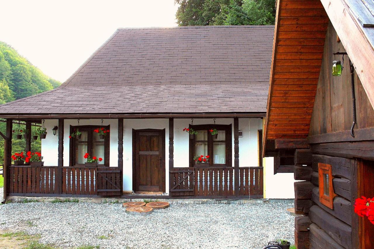 Casuta Din Valea Regilor Villa Gradistea de Munte Exteriör bild