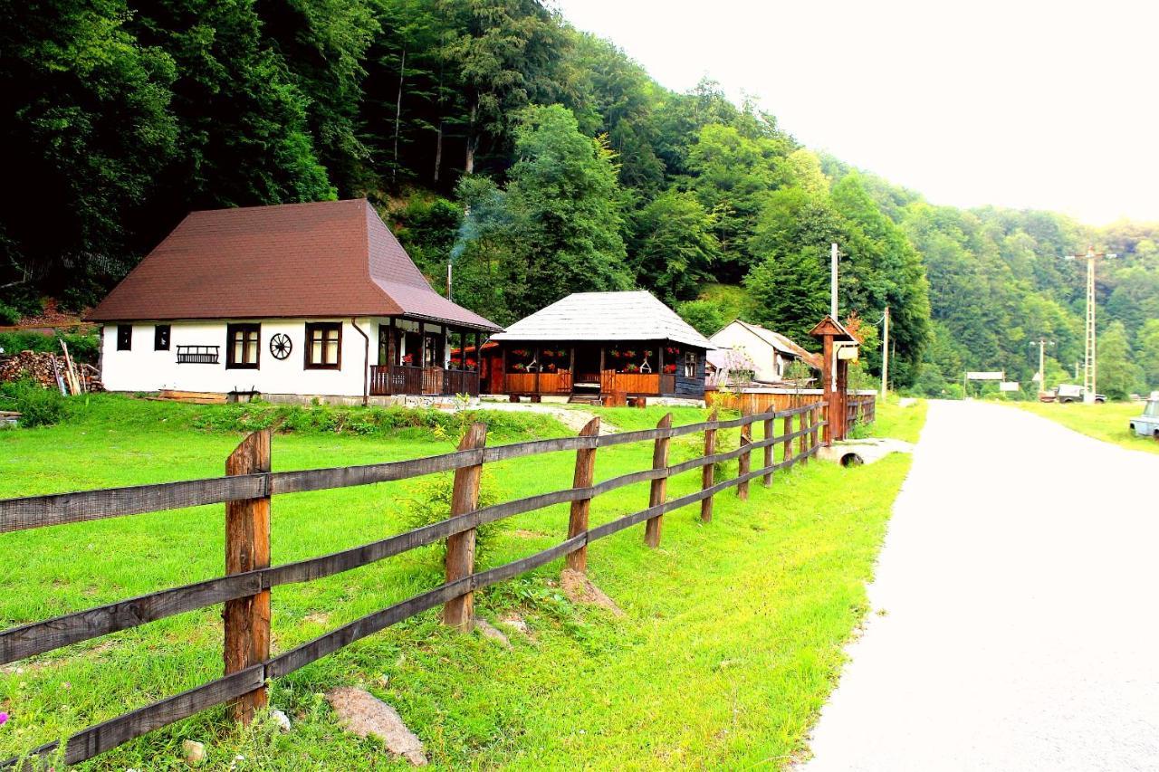 Casuta Din Valea Regilor Villa Gradistea de Munte Exteriör bild