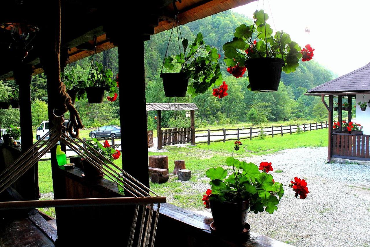 Casuta Din Valea Regilor Villa Gradistea de Munte Exteriör bild