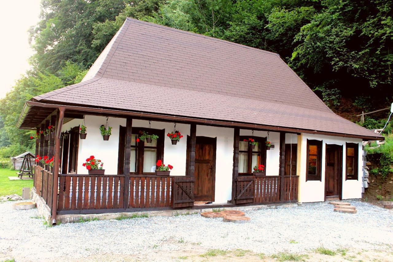 Casuta Din Valea Regilor Villa Gradistea de Munte Exteriör bild