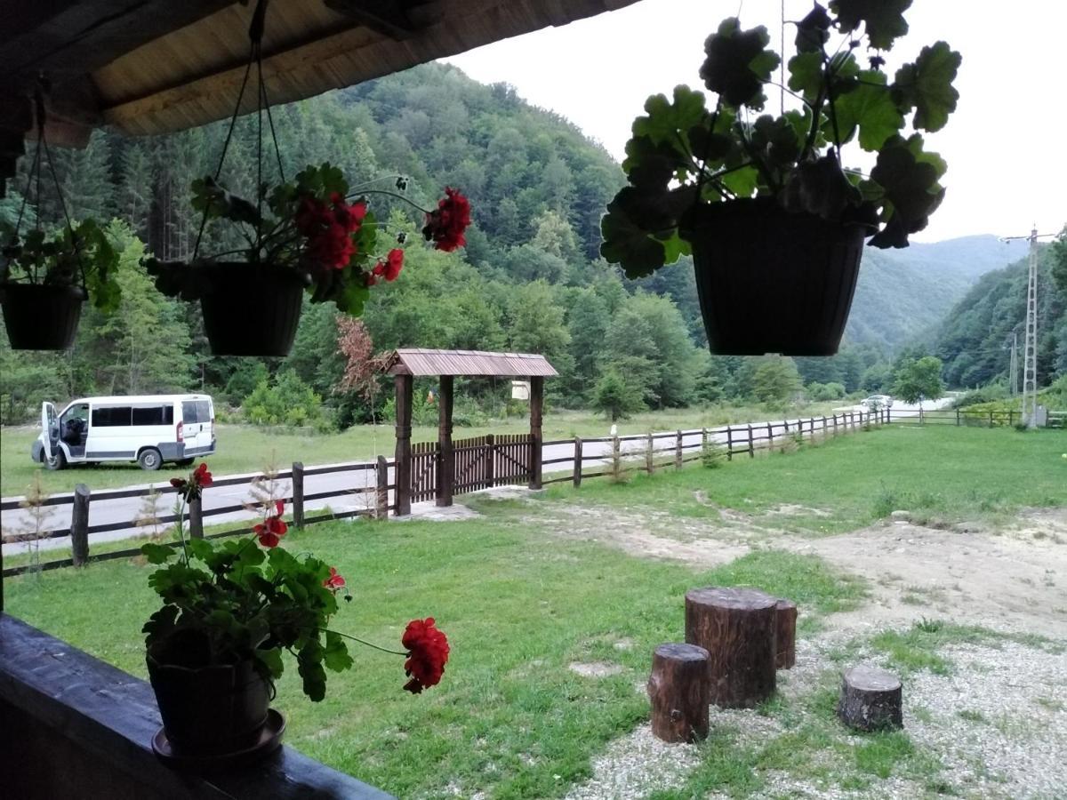 Casuta Din Valea Regilor Villa Gradistea de Munte Exteriör bild