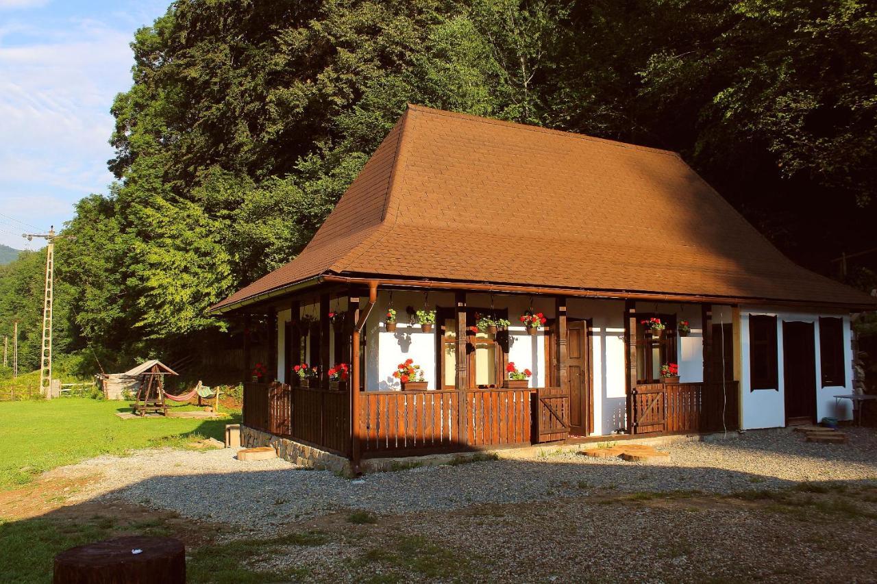 Casuta Din Valea Regilor Villa Gradistea de Munte Exteriör bild