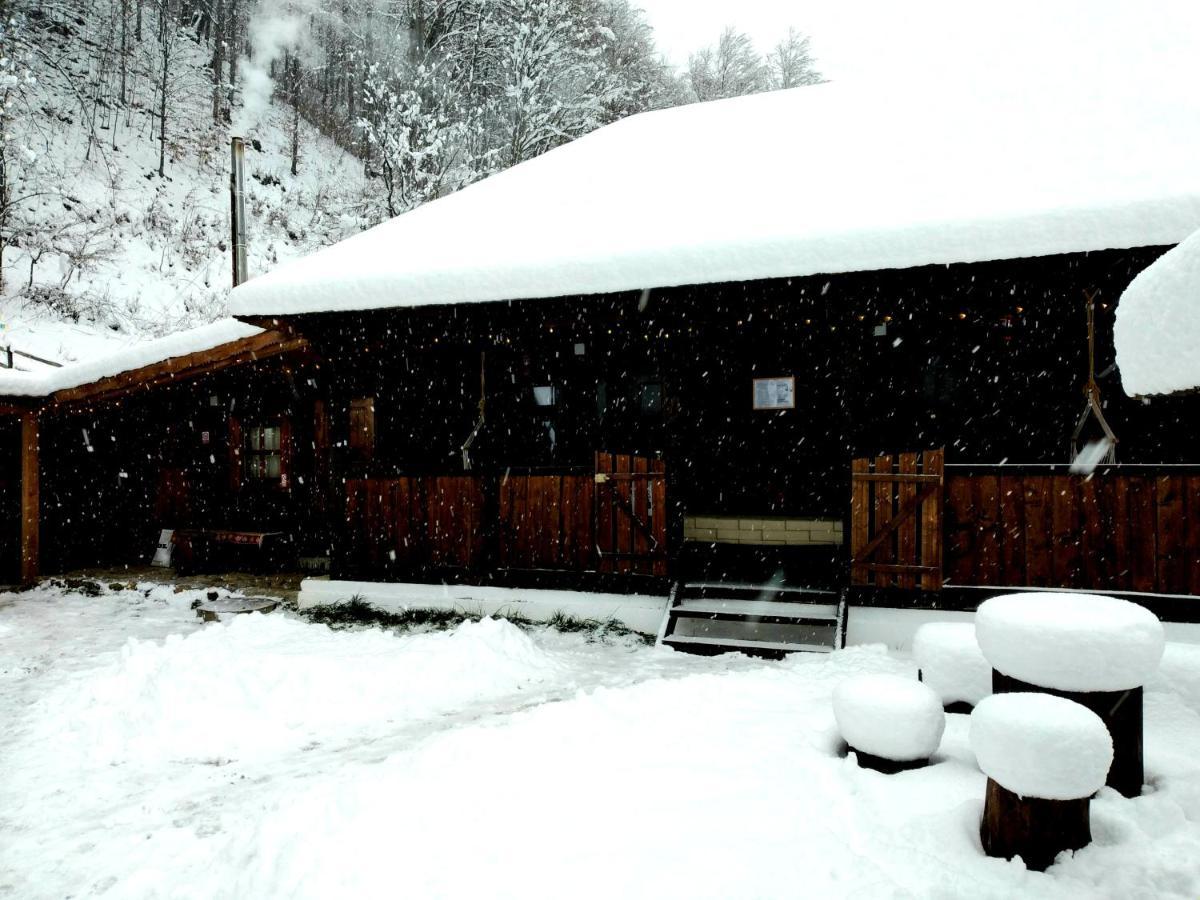 Casuta Din Valea Regilor Villa Gradistea de Munte Exteriör bild