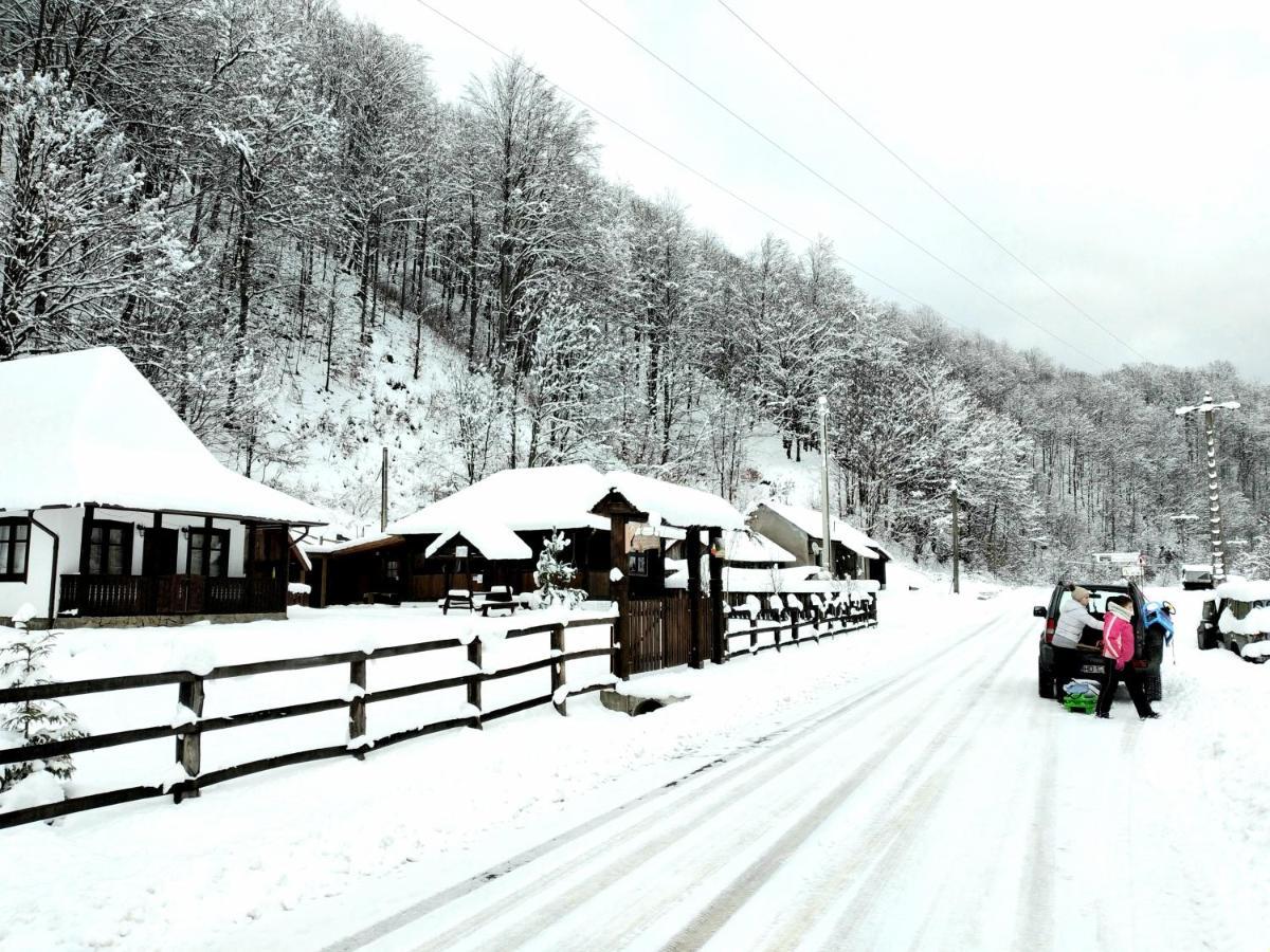 Casuta Din Valea Regilor Villa Gradistea de Munte Exteriör bild