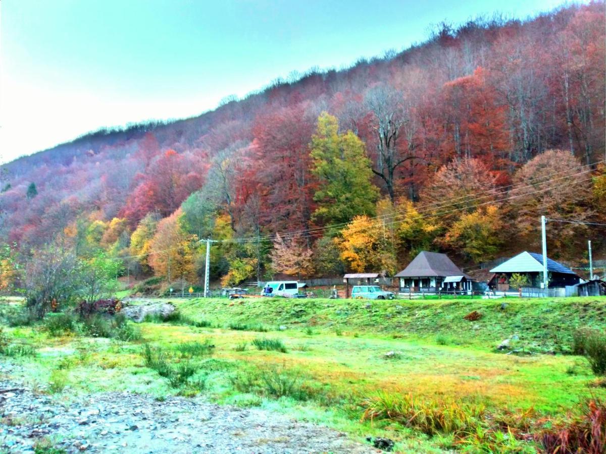 Casuta Din Valea Regilor Villa Gradistea de Munte Exteriör bild