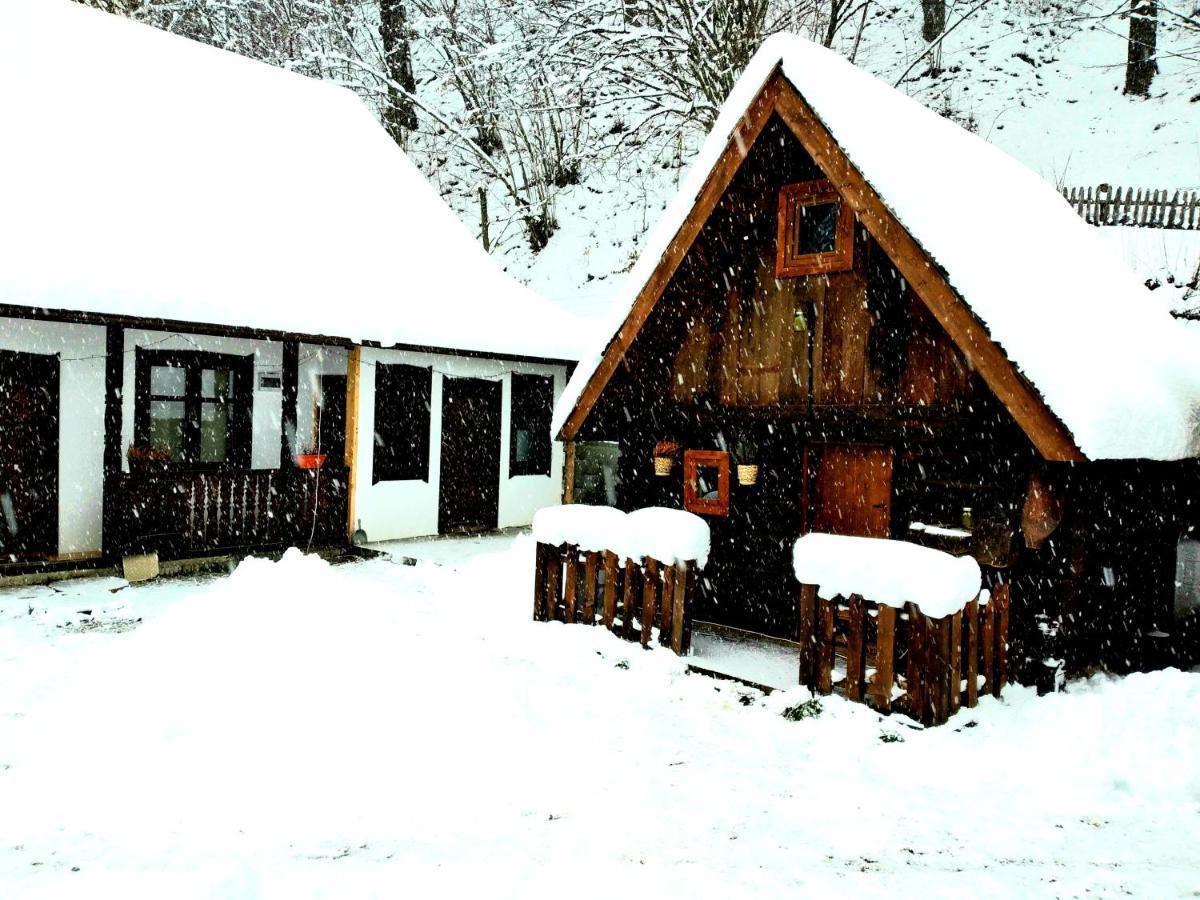 Casuta Din Valea Regilor Villa Gradistea de Munte Exteriör bild