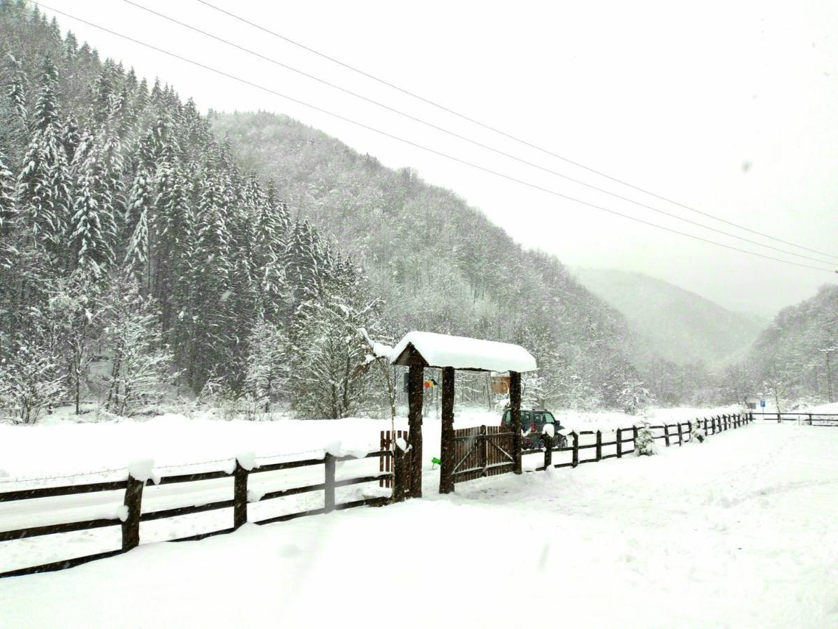 Casuta Din Valea Regilor Villa Gradistea de Munte Exteriör bild
