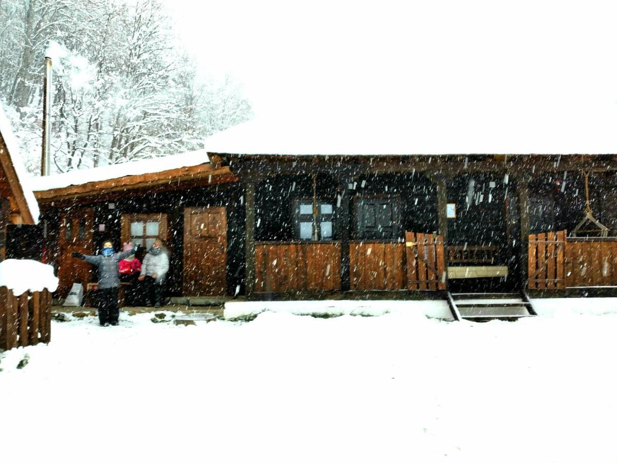 Casuta Din Valea Regilor Villa Gradistea de Munte Exteriör bild