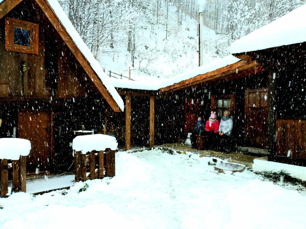Casuta Din Valea Regilor Villa Gradistea de Munte Exteriör bild